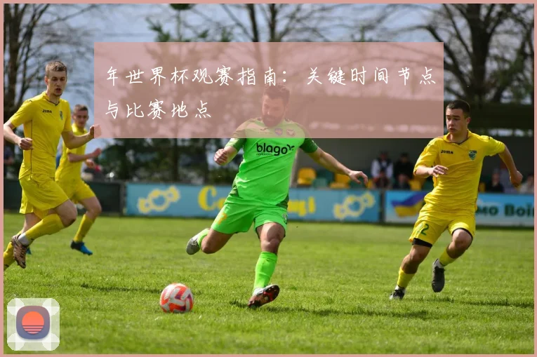 年世界杯观赛指南：关键时间节点与比赛地点
