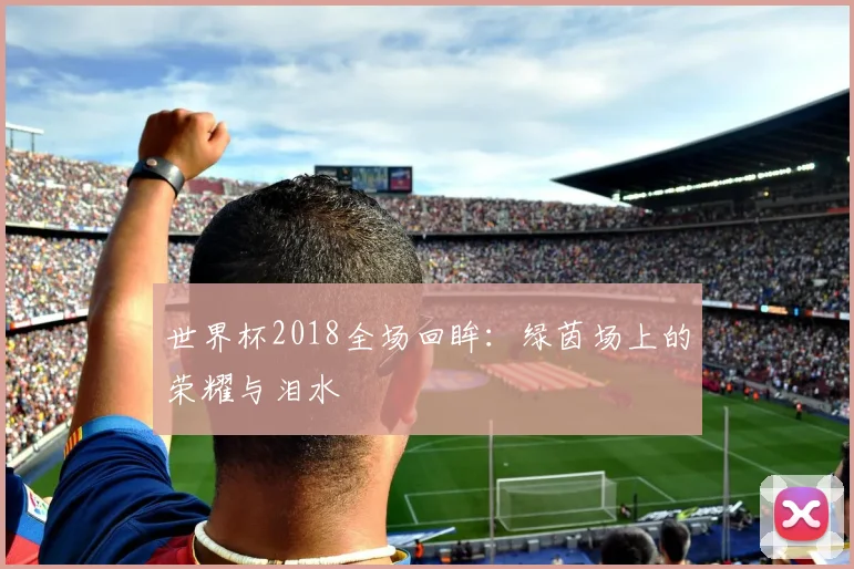 世界杯2018全场回眸：绿茵场上的荣耀与泪水